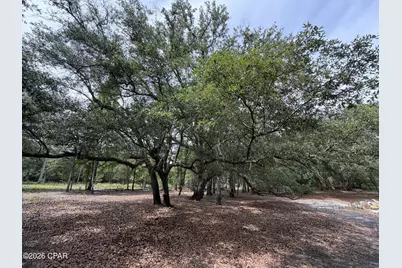 4304 Thunder Road, Sneads, FL 32460 - Photo 24