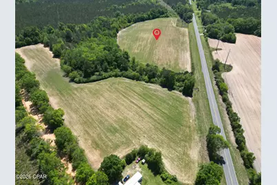 0000 Peanut Road, Graceville, FL 32440 - Photo 2