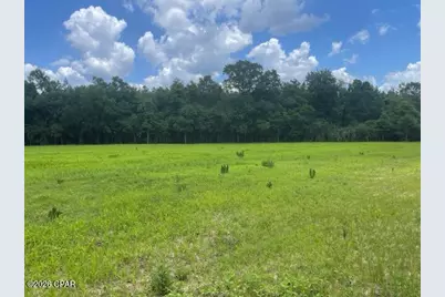 0000 Peanut Road, Graceville, FL 32440 - Photo 8