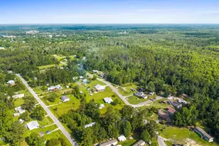 454 Canning Dr, Wewahitchka, FL 32465 - Photo 36