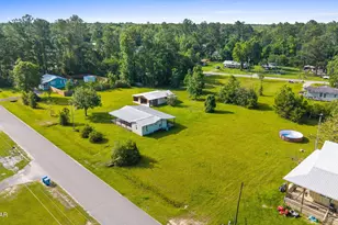 454 Canning Dr, Wewahitchka, FL 32465 - Photo 30