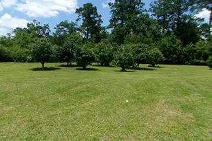 409 E Wisconsin Ave, Bonifay, FL 32425 - Photo 32