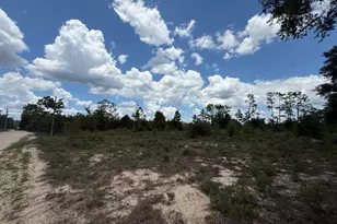 9913 Western Rd, Fountain, FL 32438 - Photo 1