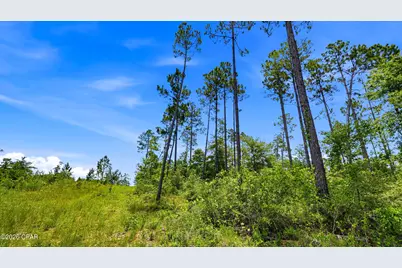 705 Cornwell Road, Alford, FL 32420 - Photo 78