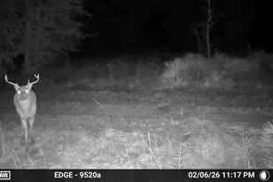 705 Cornwell Rd, Alford, FL 32420 - Photo 82
