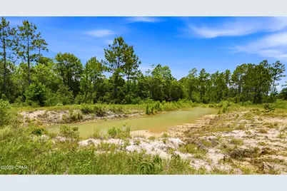 705 Cornwell Road, Alford, FL 32420 - Photo 54