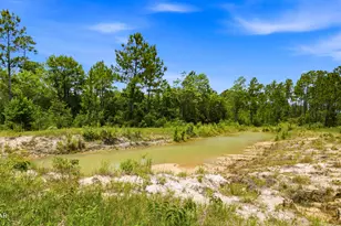 705 Cornwell Rd, Alford, FL 32420 - Photo 54