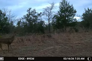 705 Cornwell Rd, Alford, FL 32420 - Photo 66