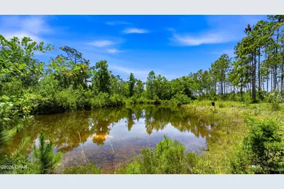 705 Cornwell Road, Alford, FL 32420 - Photo 4
