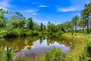 705 Cornwell Rd, Alford, FL 32420 - Photo 4