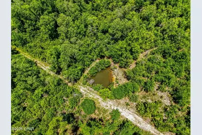 705 Cornwell Road, Alford, FL 32420 - Photo 72