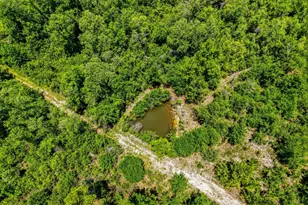 705 Cornwell Rd, Alford, FL 32420 - Photo 72