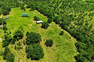 705 Cornwell Rd, Alford, FL 32420 - Photo 50