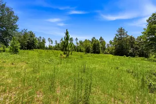 705 Cornwell Rd, Alford, FL 32420 - Photo 86