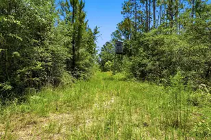 705 Cornwell Rd, Alford, FL 32420 - Photo 62