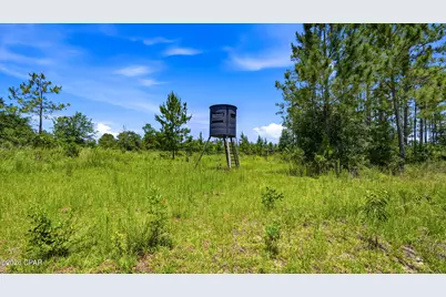 705 Cornwell Road, Alford, FL 32420 - Photo 64