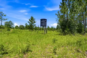 705 Cornwell Rd, Alford, FL 32420 - Photo 64