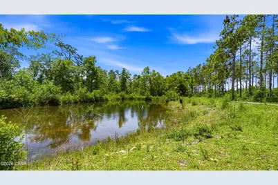 705 Cornwell Road, Alford, FL 32420 - Photo 74