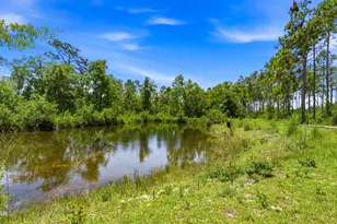 705 Cornwell Rd, Alford, FL 32420 - Photo 74