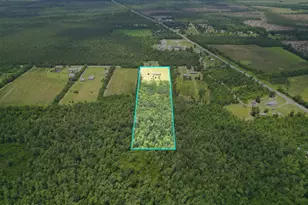 19395 SW Matthew Wood Rd, Blountstown, FL 32424 - Photo 44