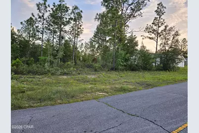 Lot 11 Covington Place #1, Chipley, FL 32428 - Photo 4