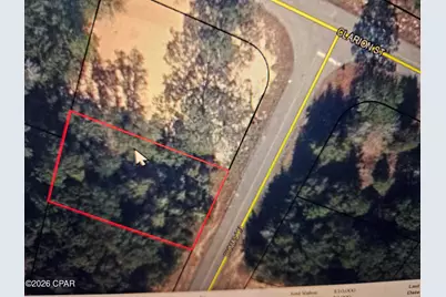 Lot 22 Dumas Lane, Chipley, FL 32428 - Photo 2