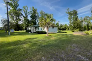 4128 Little Dothan Rd, Sneads, FL 32460 - Photo 2