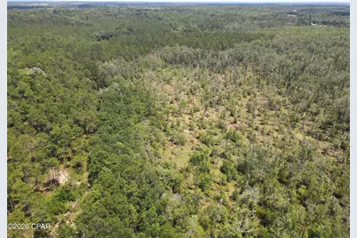 0 St Hwy 83, Defuniak Springs, FL 32433 - Photo 18
