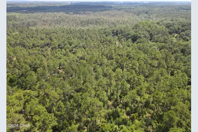 0 St Hwy 83, Defuniak Springs, FL 32433 - Photo 16