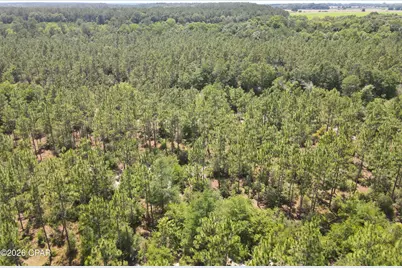 0 St Hwy 83, Defuniak Springs, FL 32433 - Photo 8