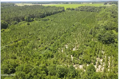 0 St Hwy 83, Defuniak Springs, FL 32433 - Photo 12