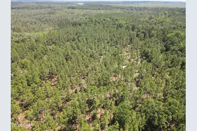 0 St Hwy 83, Defuniak Springs, FL 32433 - Photo 10