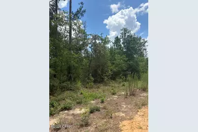 0 Tiger Avenue #LT3 BLK75, Marianna, FL 32448 - Photo 6