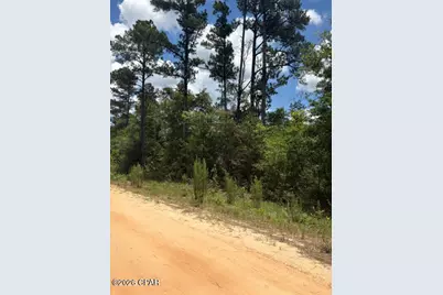 0 Tiger Avenue #LT3 BLK75, Marianna, FL 32448 - Photo 1