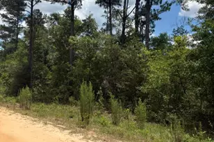 0 Tiger Ave, Marianna, FL 32448 - Photo 1