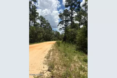0 Tiger Avenue #LT3 BLK75, Marianna, FL 32448 - Photo 10