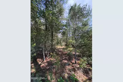 Lot 3 Dumajack Road, Chipley, FL 32428 - Photo 6