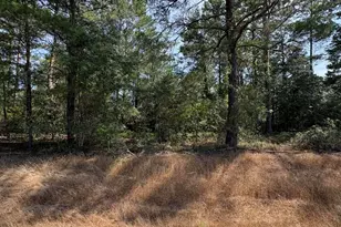 Lot 3 Dumajack Rd, Chipley, FL 32428 - Photo 1