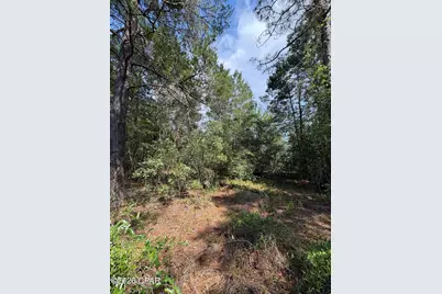 Lot 3 Dumajack Road, Chipley, FL 32428 - Photo 4
