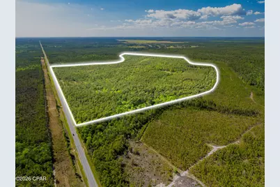 Tbd Hwy 20 Road, Freeport, FL 32439 - Photo 1