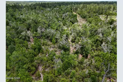 19511 Ross Road, Fountain, FL 32438 - Photo 22