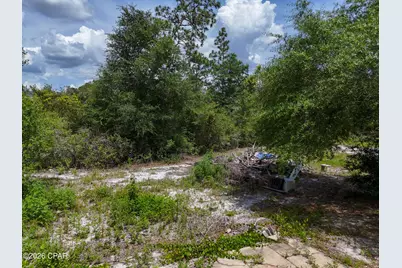19511 Ross Road, Fountain, FL 32438 - Photo 10