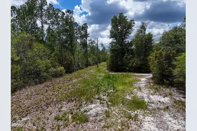 19511 Ross Road, Fountain, FL 32438 - Photo 4