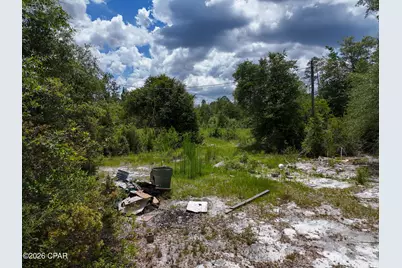 19511 Ross Road, Fountain, FL 32438 - Photo 6