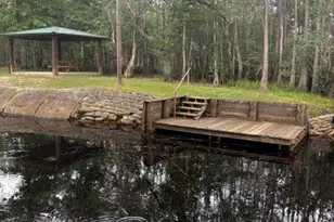 191 Castlewood Ln, Wewahitchka, FL 32465 - Photo 64