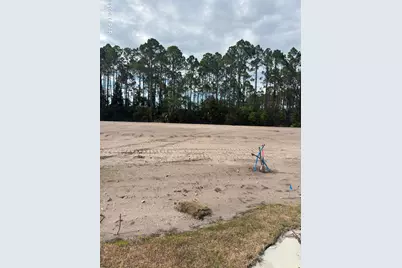 Lot 2 Pine Branch Ct, Port Saint Joe, FL 32456 - Photo 1