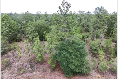 Lot 24 Newmoon Drive, Chipley, FL 32428 - Photo 2