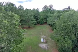 2802 Sylvania Rd, Vernon, FL 32462 - Photo 10