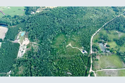 20 Acres Curry Ferry Road, Bonifay, FL 32425 - Photo 2