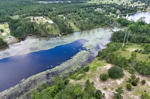 422 McDuff Dr, Alford, FL 32420 - Photo 22